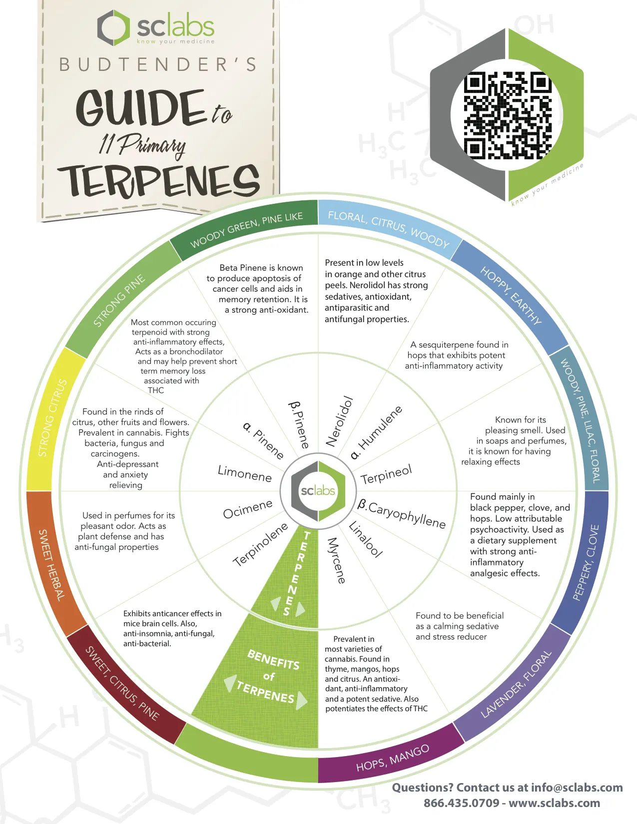 Beyond Aroma: Terpenes in Cannabis